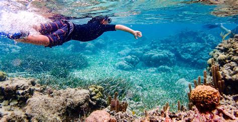 Unveiling the Depths: Snorkeling Adventures on the Spectacular Magic Island